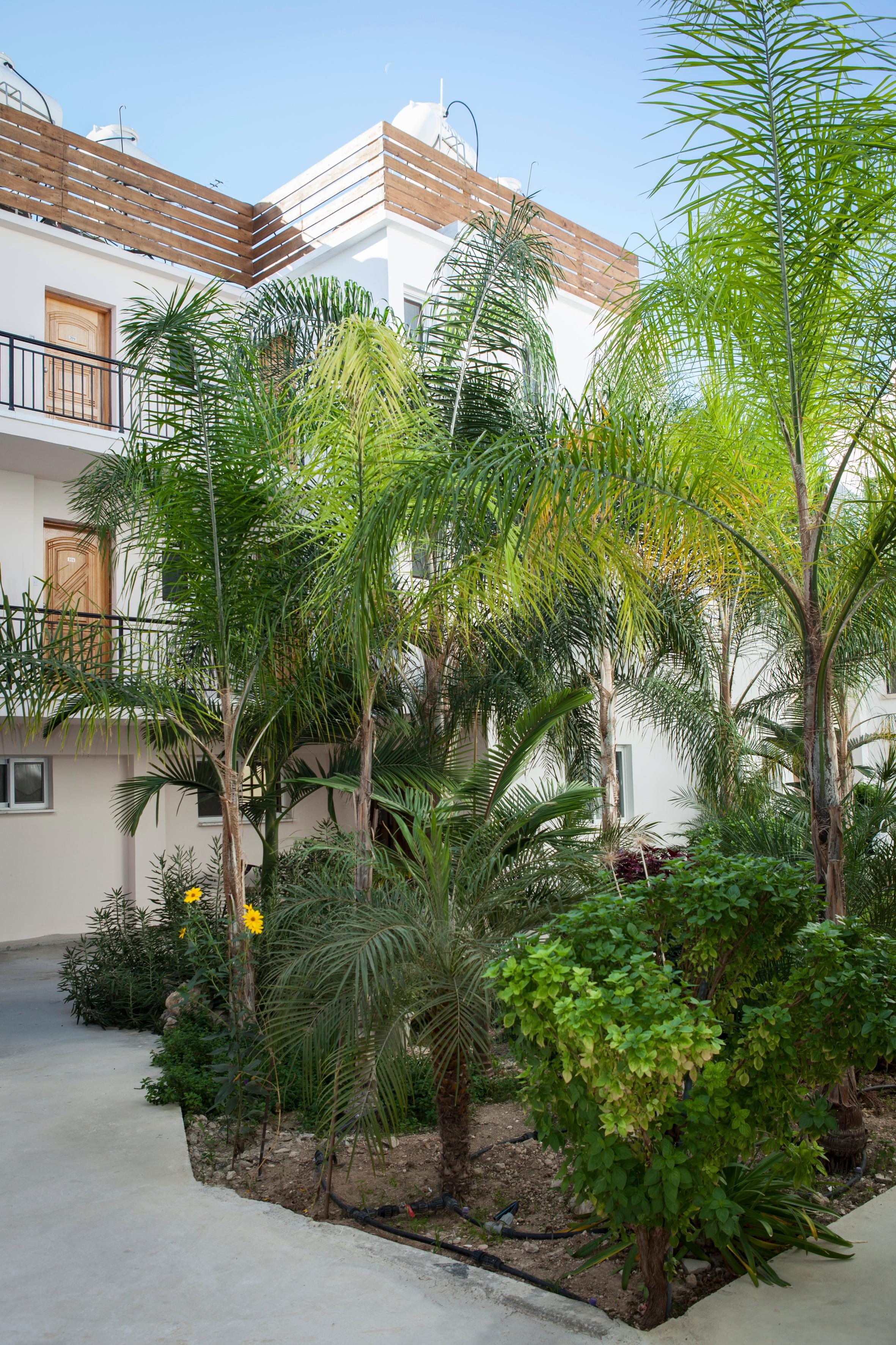 Alecos Hotel Apartments Paphos Luaran gambar