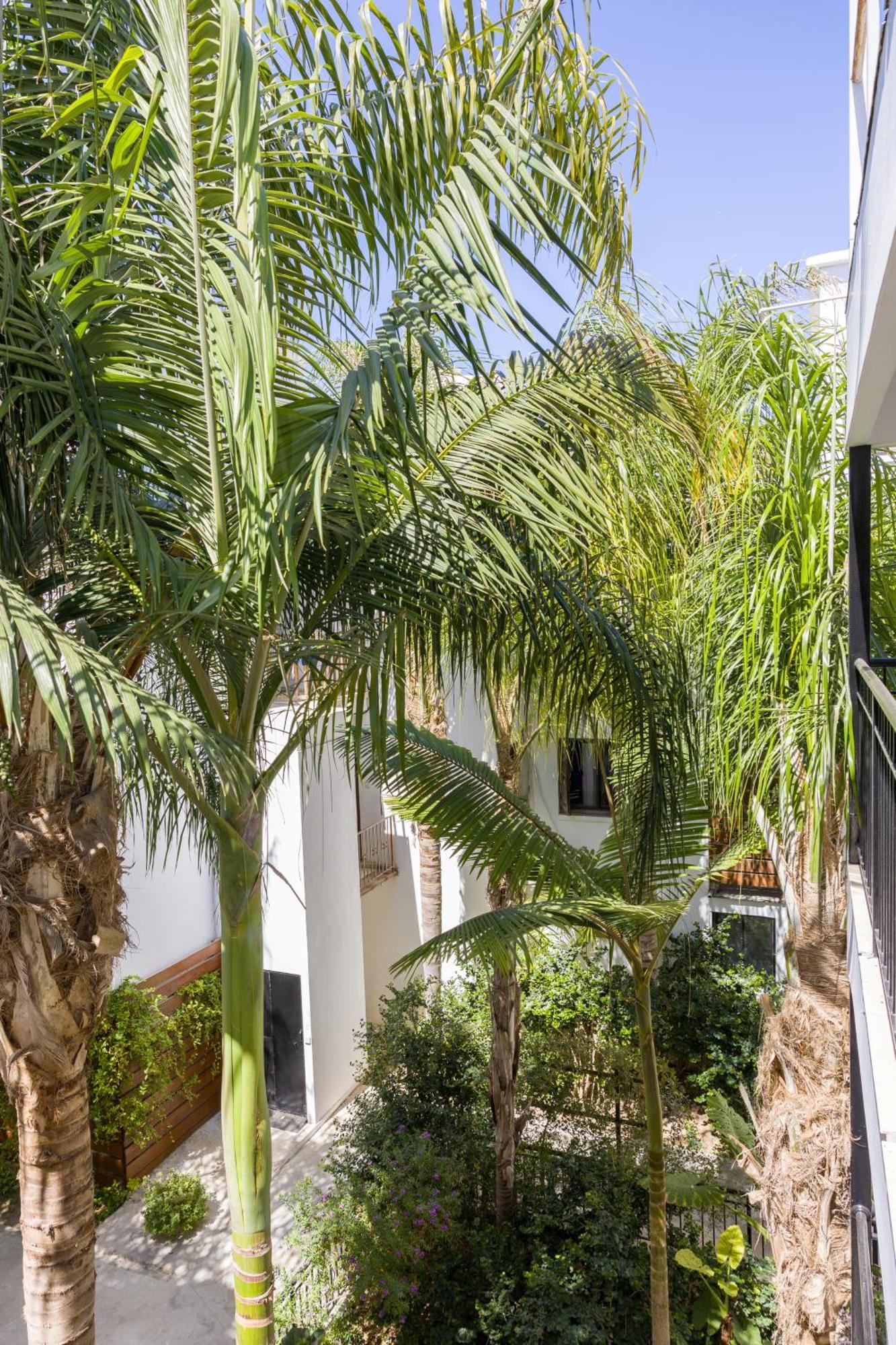 Alecos Hotel Apartments Paphos Luaran gambar